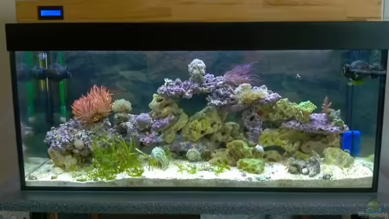 Bild 12.08.2012 von Dirk Schäfer (1)