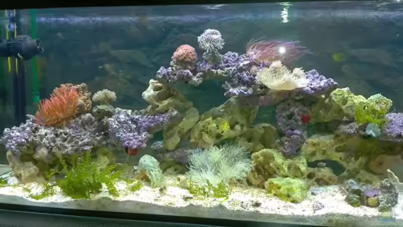 Bild 12.08.2012 von Dirk Schäfer (6)