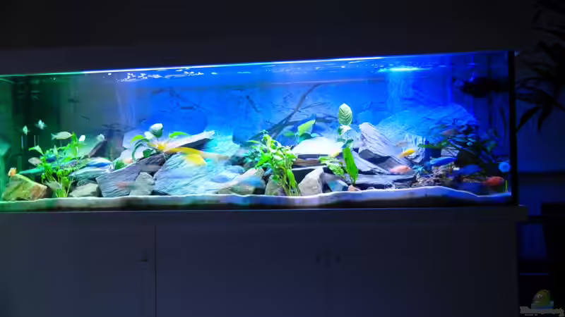 Bild 12 weg von Wolfgang Ihlo (8)