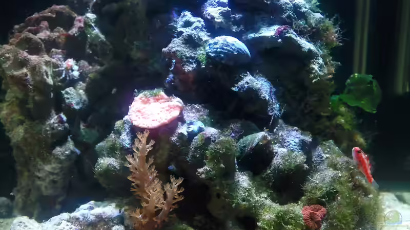 Bild 15.03.12 von Dirk Schäfer (9)