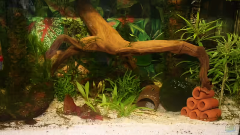 Bild 15 von Michael Schilling (4)