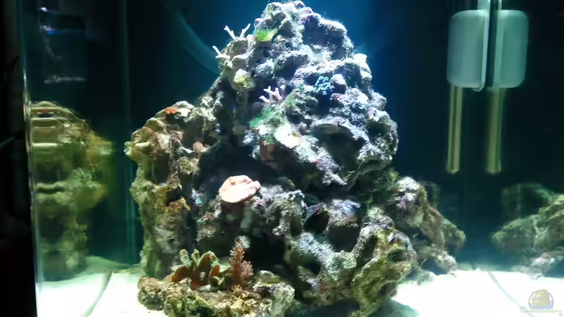 Bild 19.02.12 von Dirk Schäfer (2)