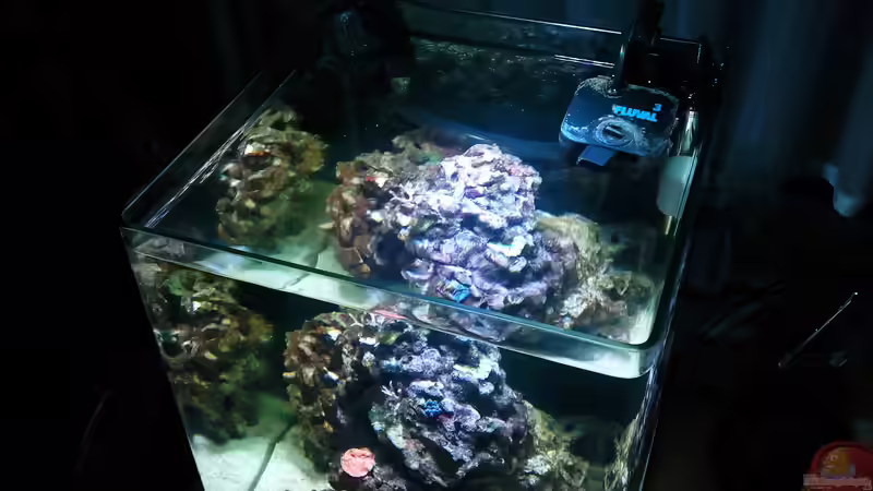 Bild 19.02.12 von Dirk Schäfer (4)