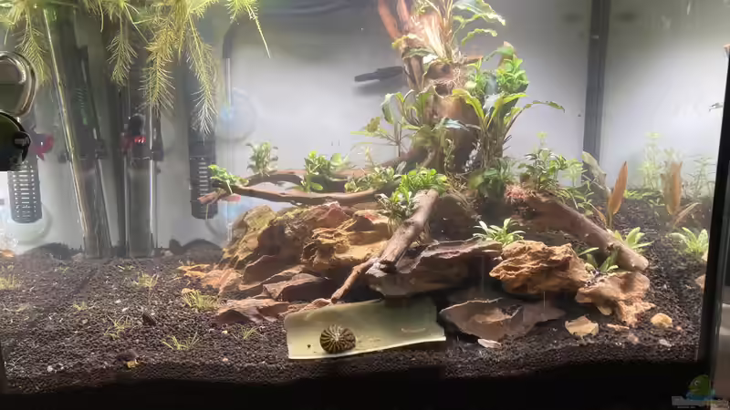 Bild 2 von Dennis Schönberg (2)