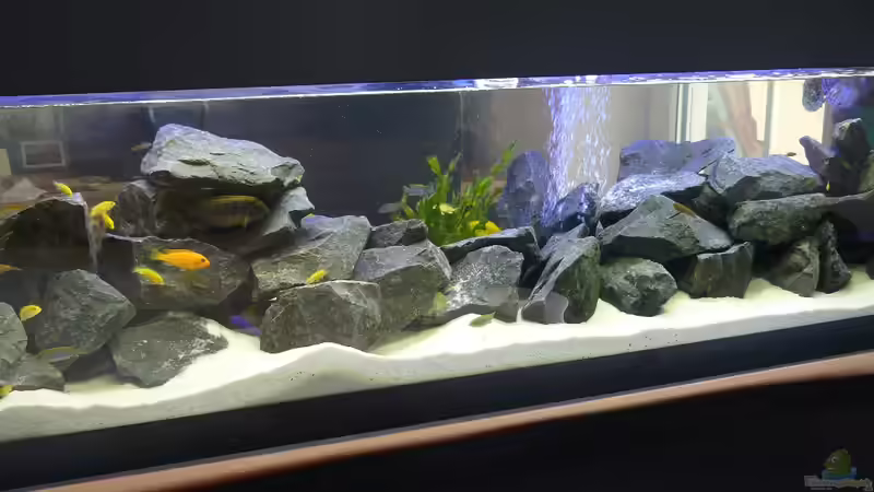 Bild 2 von Dominik Jerg (3)