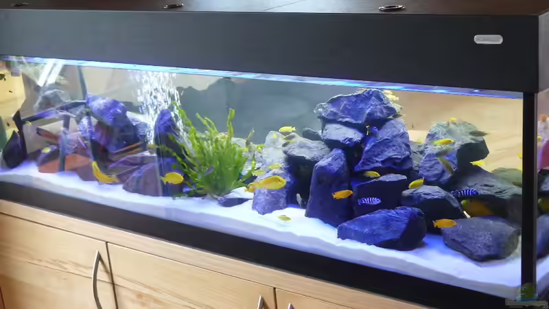 Bild 3 von Dominik Jerg (4)