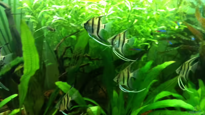 Bild 3 von Thorsten Höh (3)