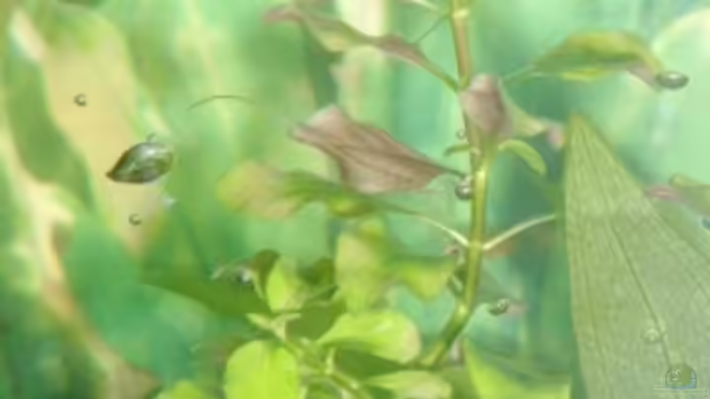 Bild 4 kenne den namen leider nicht von Enrico Bergmann (10)