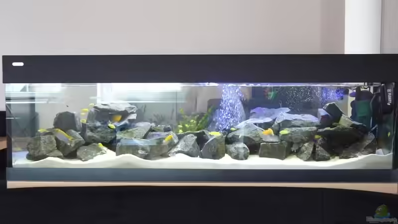 Bild 4 von Dominik Jerg (5)