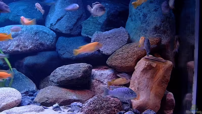 Bild 4 von Helgo Jacob (11)