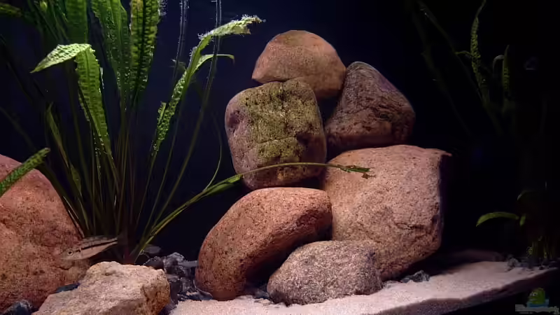 Bild 4 von Helgo Jacob (12)