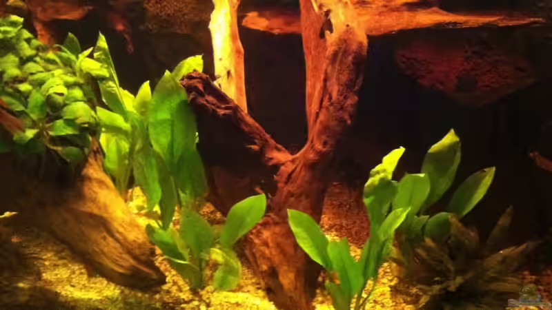 Bild 5 von American Stone (9)