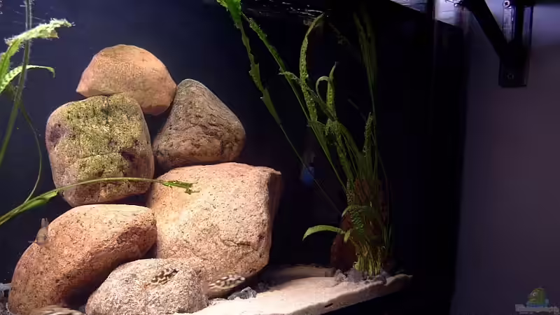 Bild 5 von Helgo Jacob (13)