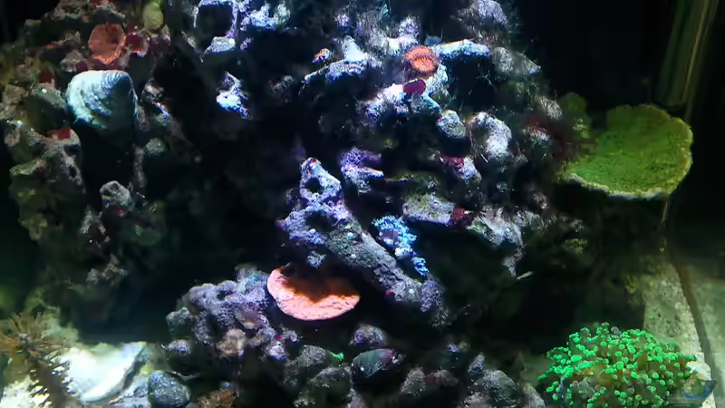 Bild 6.04.12 von Dirk Schäfer (10)