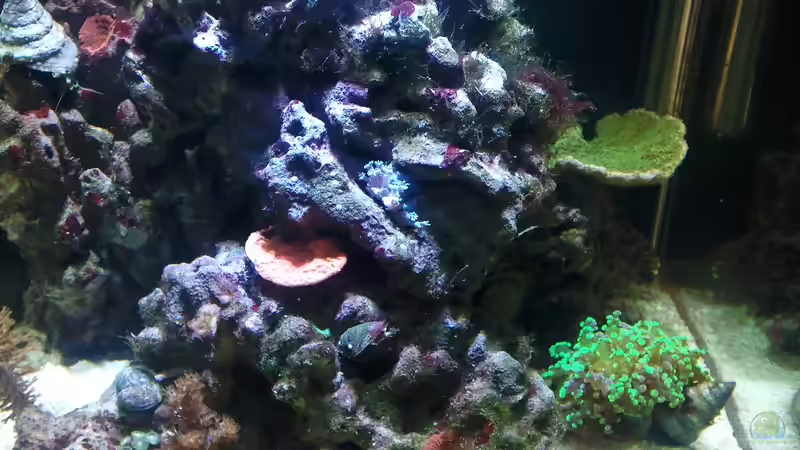 Bild 6.04.12 von Dirk Schäfer (11)