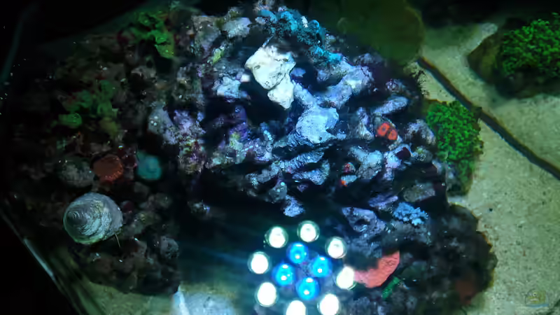 Bild 6.04.12 von Dirk Schäfer (12)