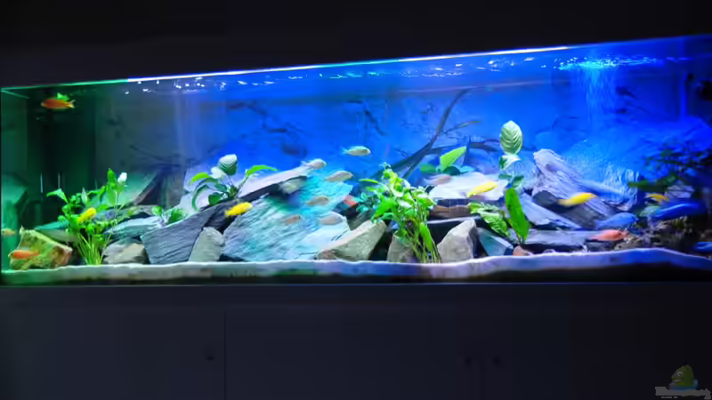 Bild 9 unten von Wolfgang Ihlo (4)