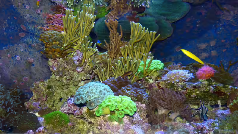 Bild an Wasseroberfläche gespiegelt von Leni13 (1)