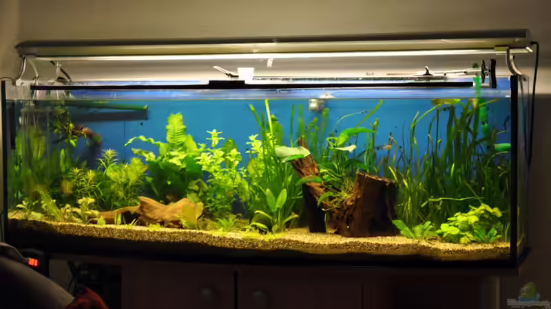 Bild im anderen Licht von Salmlerdream (10)