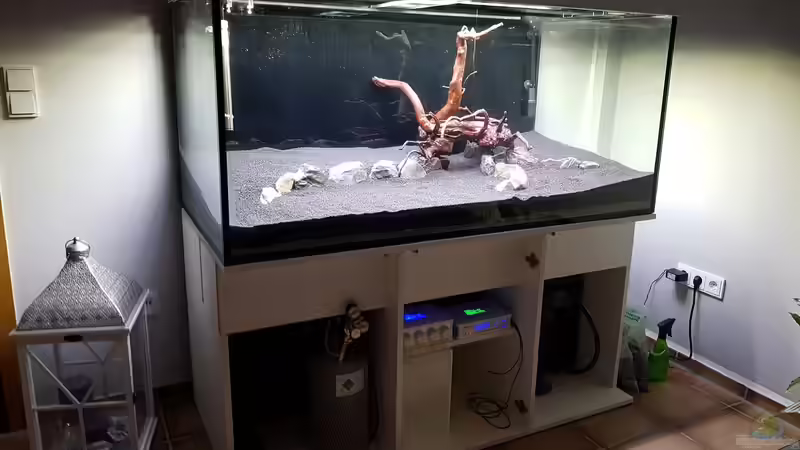 Bild Links von der Seite so ist das Becken auch Aufgebaut worden . von Pflanzenmaster (26)