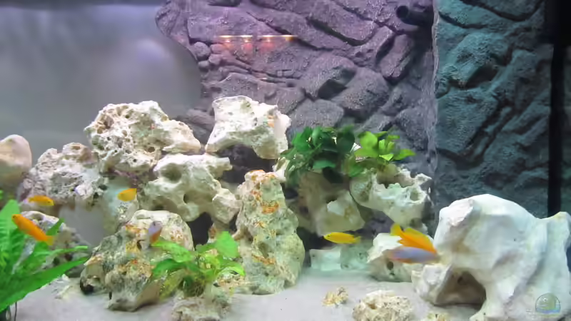 Bild ohne Folie von Metalhead672 (8)