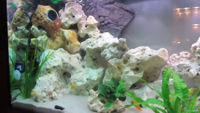 Bild ohne Folie von Metalhead672 (9)