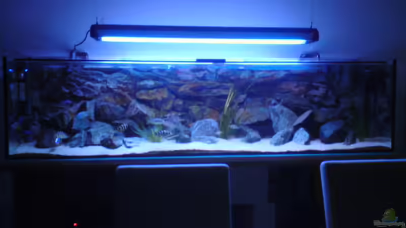 bild ohne kamera filter von Michael Schöpf (6)