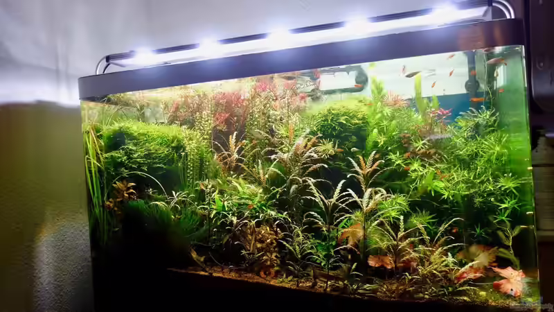 Bild seitlich 1 von NOWI1976 (2)