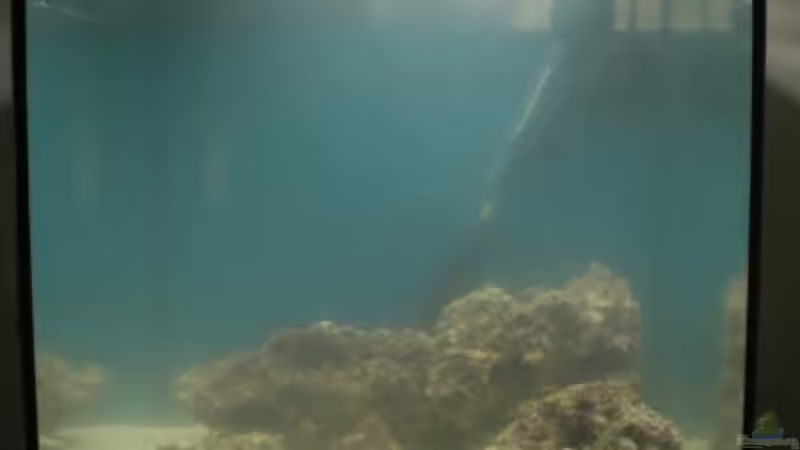 Bild vom 03.04. von Maverick0815 (3)