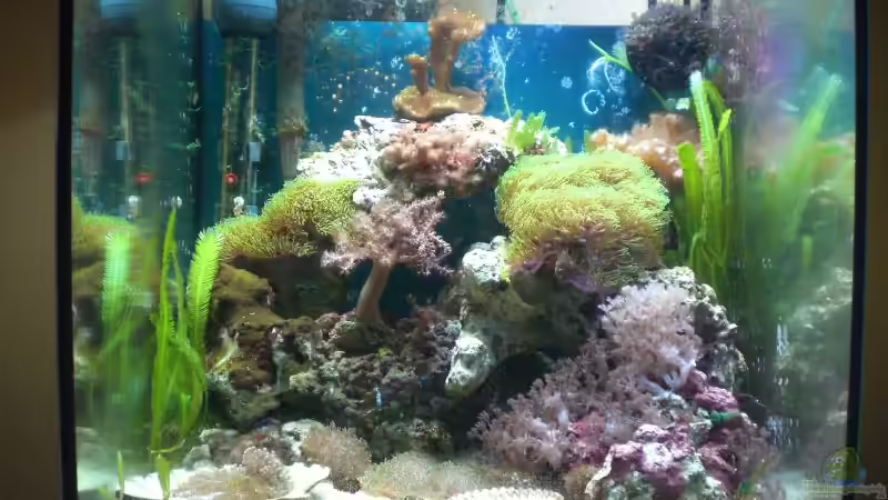 Bild vom 04.12.2009 von Maverick0815 (1)