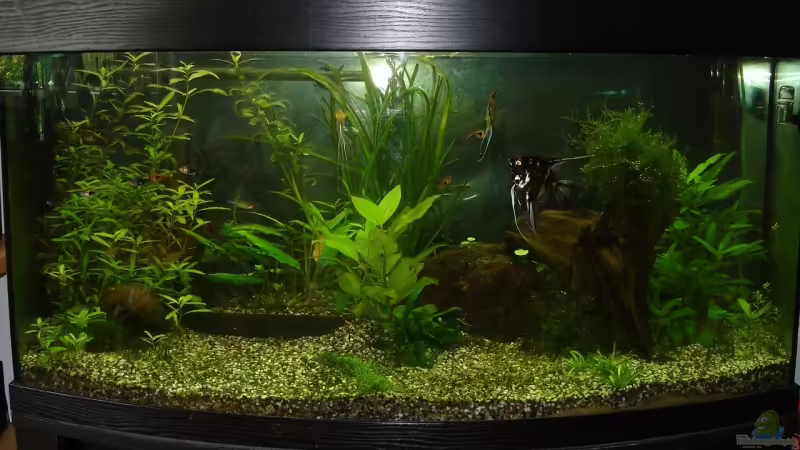 Bild vom 06.07.08 von quickmike (2)