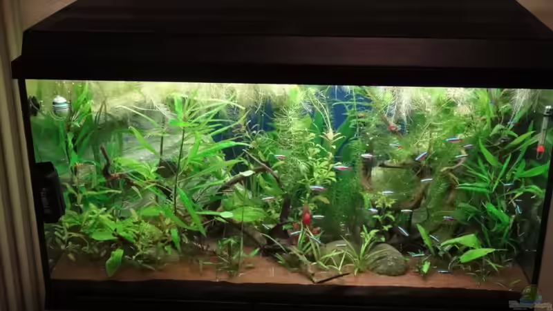 Bild vom 10.10.10 von Franz Wüest (3)