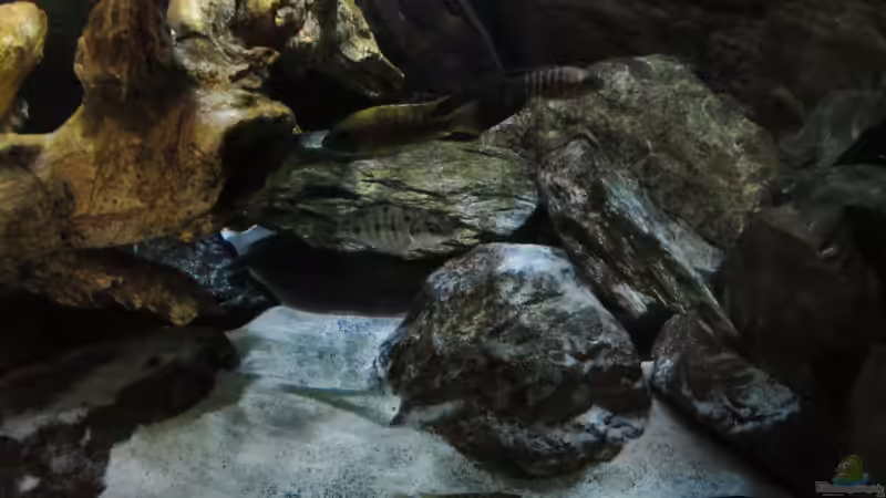 Bild vom 14.07.2013 von Steffen G (18)