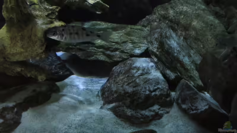 Bild vom 14.07.2013 von Steffen G (19)