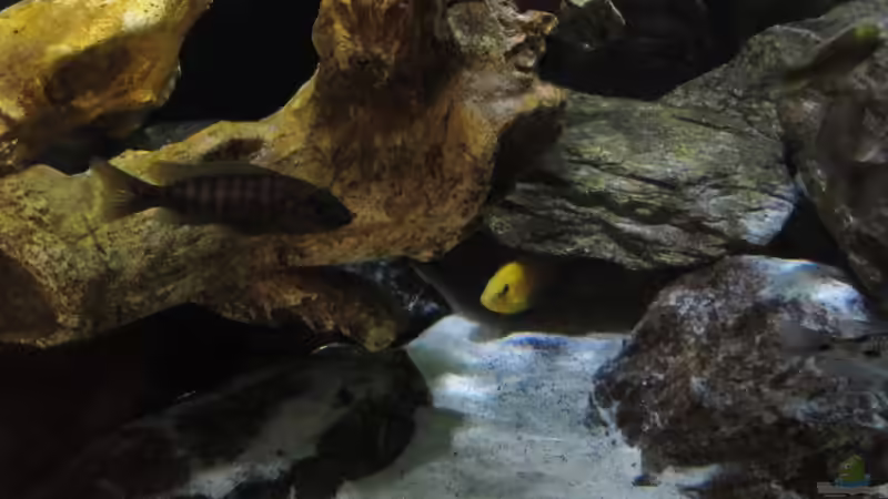 Bild vom 14.07.2013 von Steffen G (21)