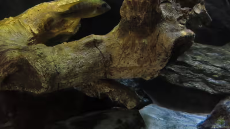 Bild vom 14.07.2013 von Steffen G (22)