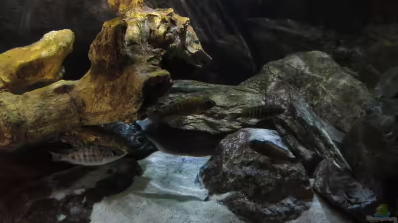 Bild vom 14.07.2013 von Steffen G (23)