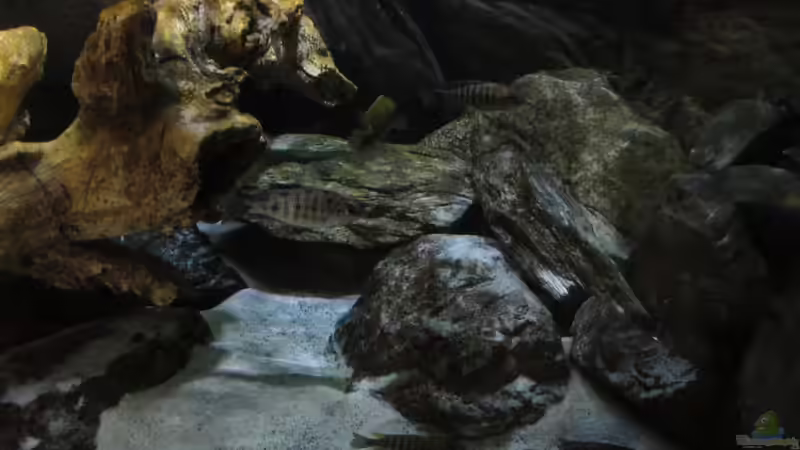 Bild vom 14.07.2013 von Steffen G (24)