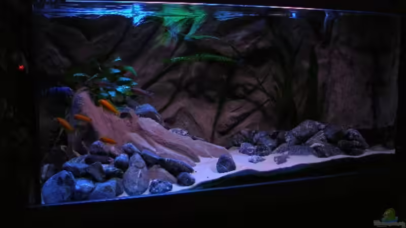 Bild vom 14.09.2010 von Marco O. (57)