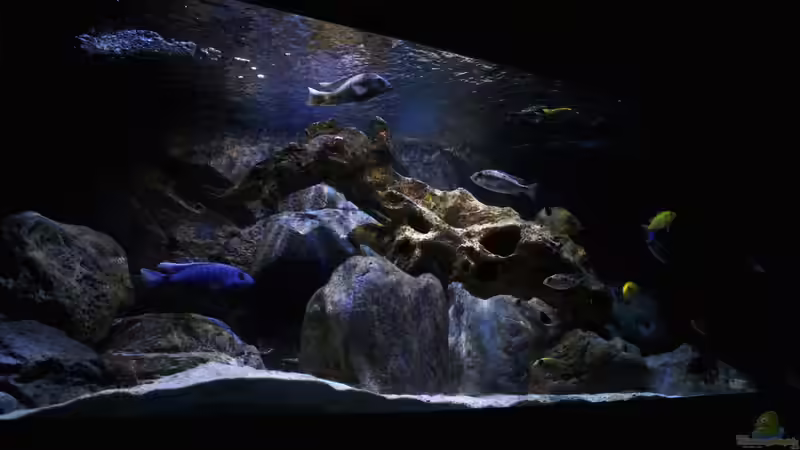 Bild vom 15.03.2015 von Steffen G (4)