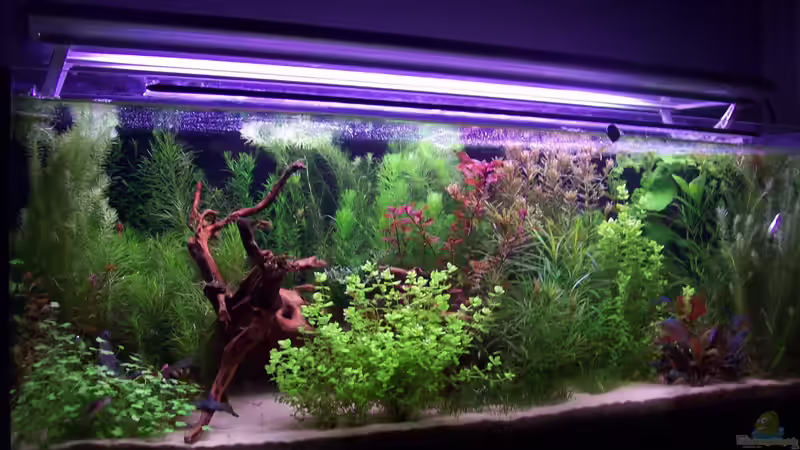 Bild vom 17.06.2013 von Lotte und Hendo (12)