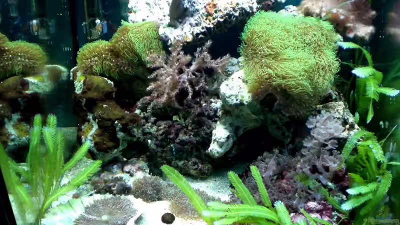 Bild vom 5.11.2009 von Maverick0815 (2)