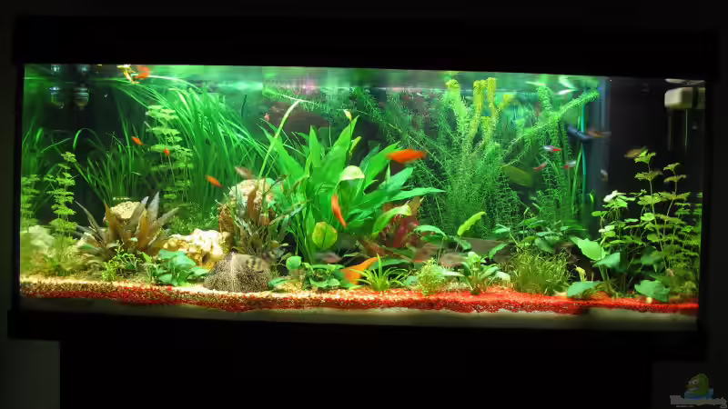 Bild von 11.01.2006 von Michael Kraus (2)