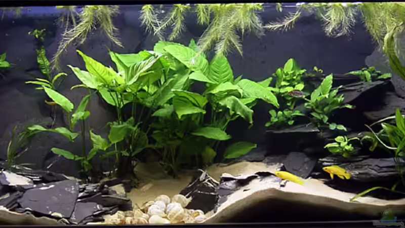 Bild von der alten Einrichtung von NicoD (5)