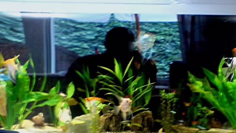 Bild von Mai 2007 von Michael Seidel (21)