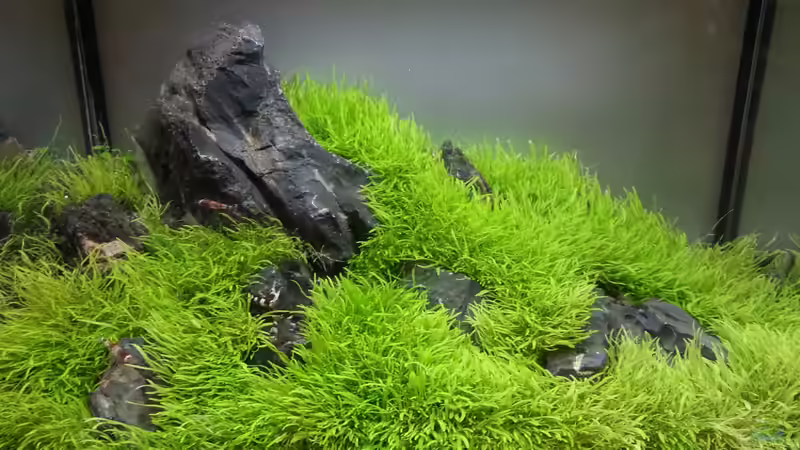 Bild von Marcel Reiter (16)