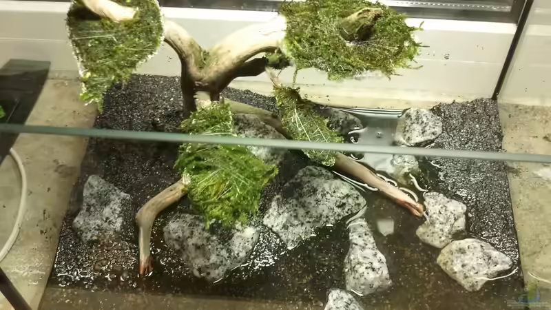 Bild von Oben von Blubberblubs (7)