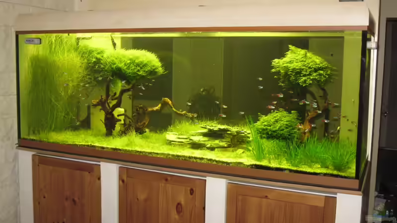 Bild03 von Bombay (3)