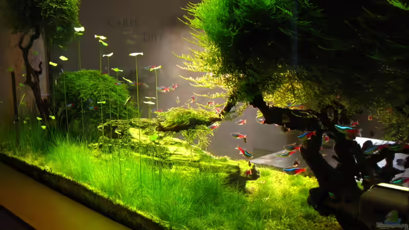 Bild04 von Bombay (2)