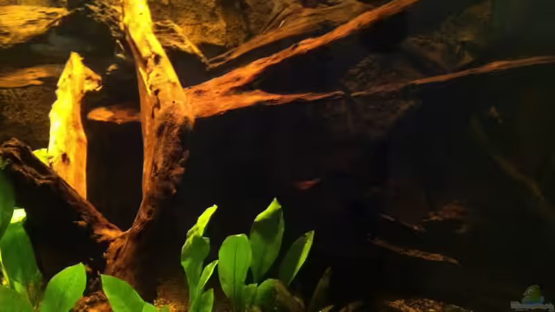 Bild2 von American Stone (12)